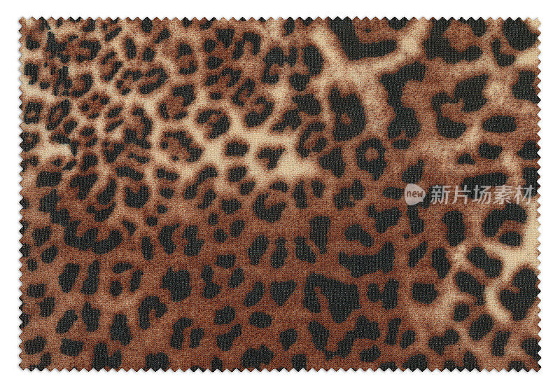 Brown Leopard Swatch(剪切路径)